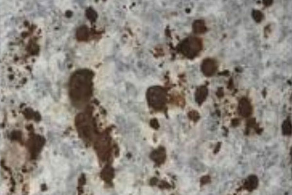 DB���ˡ�(�й���)�ٷ���վ