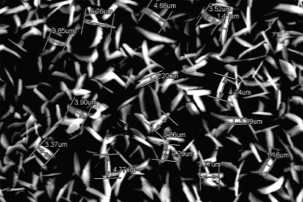 DB���ˡ�(�й���)�ٷ���վ