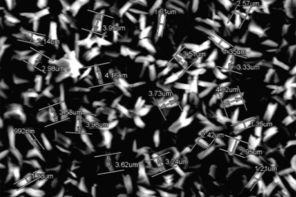 DB���ˡ�(�й���)�ٷ���վ